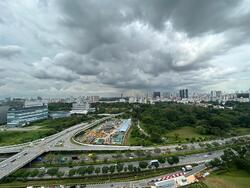 Normanton Park (D5), Apartment #489571741